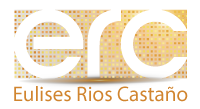 Su Consultor Digital